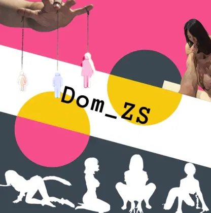 DOM_ZS